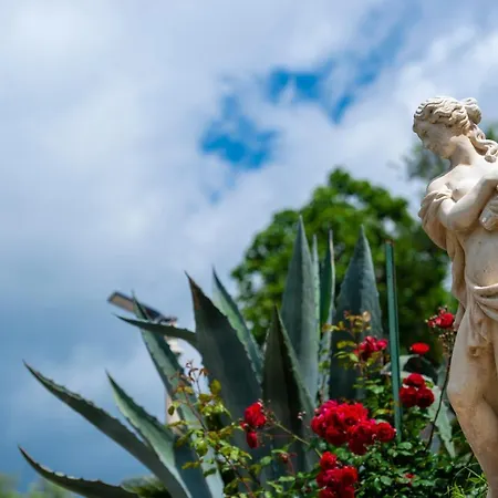 Il Mandorlo ベッド・アンド・ブレックファスト トラモンティ